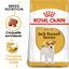 Royal Canin - Croquettes Jack Russell Adult pour Chiens - 1,5Kg Indicateur image numéro 1