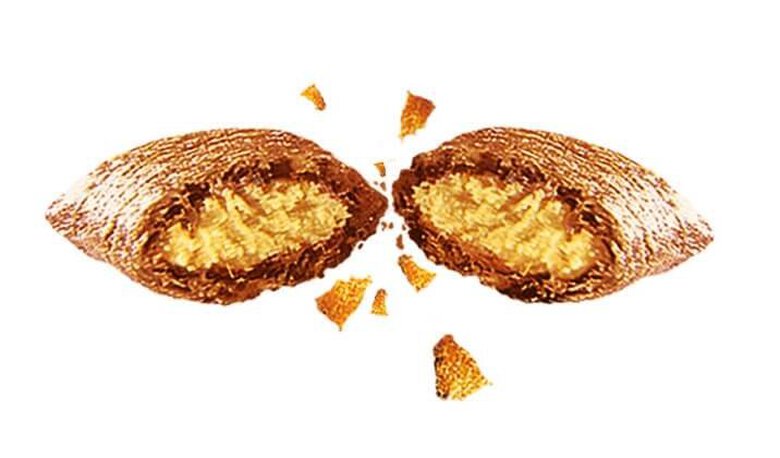 Catisfactions - Friandises au Saumon pour Chat - 60g + 50% Gratuit Image numéro 3 Catisfactions - Friandises au Saumon pour Chat - 60g + 50% Gratuit Image numéro 3