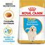 Royal Canin - Croquettes Golden Retriever Junior pour Chiot - 12Kg Indicateur image numéro 1