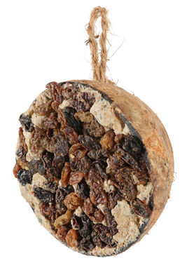 Zolux - Demi noix de coco avec graisse et raisins - 200g