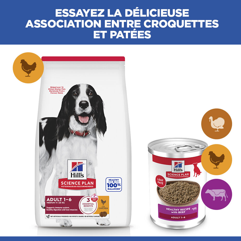 Hill's Science Plan - Adult Boite Pour Chien Au B&oelig;uf  - 370g Image num&eacute;ro 9