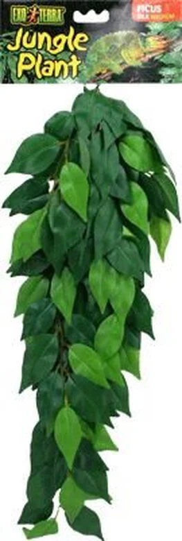 Exo Terra - Plante Ficus pour Terrarium - M Image numéro 1 Exo Terra - Plante Ficus pour Terrarium - M Image numéro 1