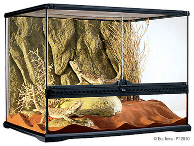 Exo Terra - Terrarium en Verre pour Reptile - 60x45x45cm