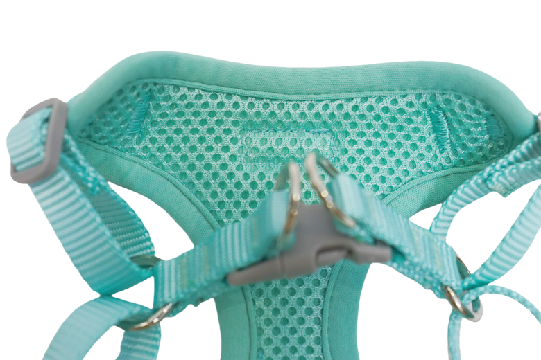 Gotoo - Harnais Etoiles Bleu pour Chiot - XXS Image numéro 2 Gotoo - Harnais Etoiles Bleu pour Chiot - XXS Image numéro 2