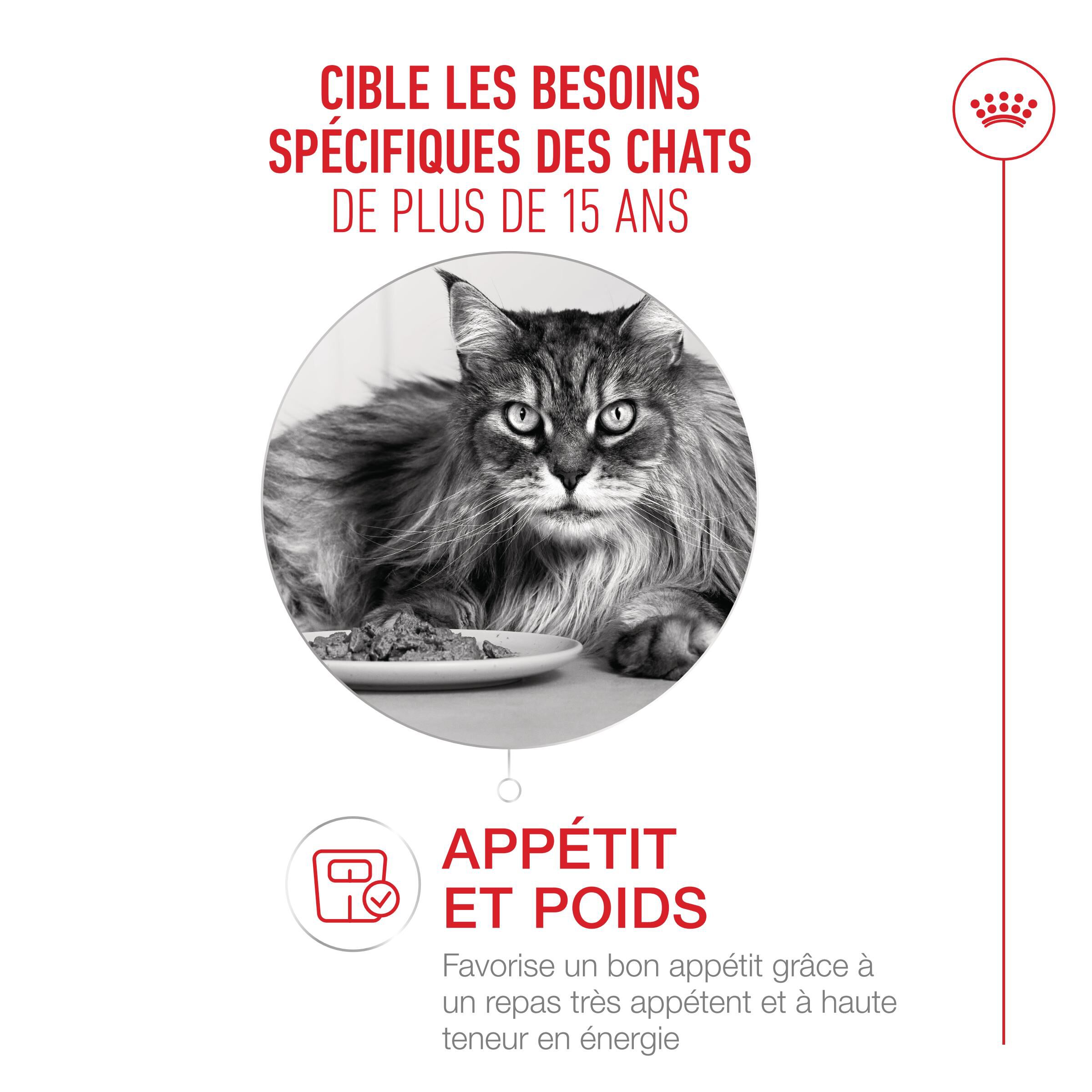 Royal Canin - Croquettes Ageing 15+ pour Chats Senior - 400g Image num&eacute;ro 3