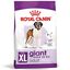 Royal Canin - Croquettes Giant Adult pour Chien - 15Kg Indicateur image numéro 1