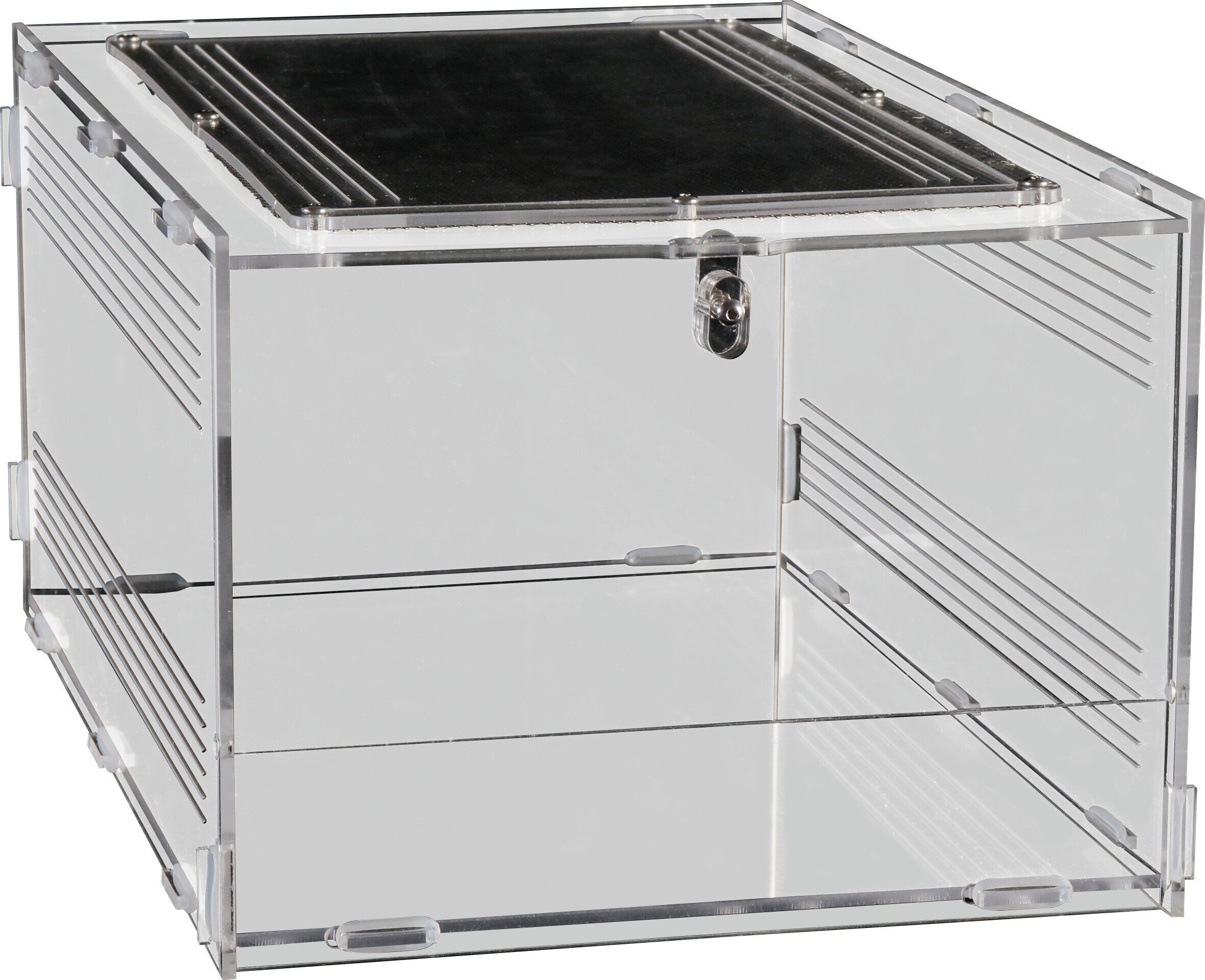 Repto - Terrarium AcryliqueTerra Clear - 30x20x15,5cm Image num&eacute;ro 3