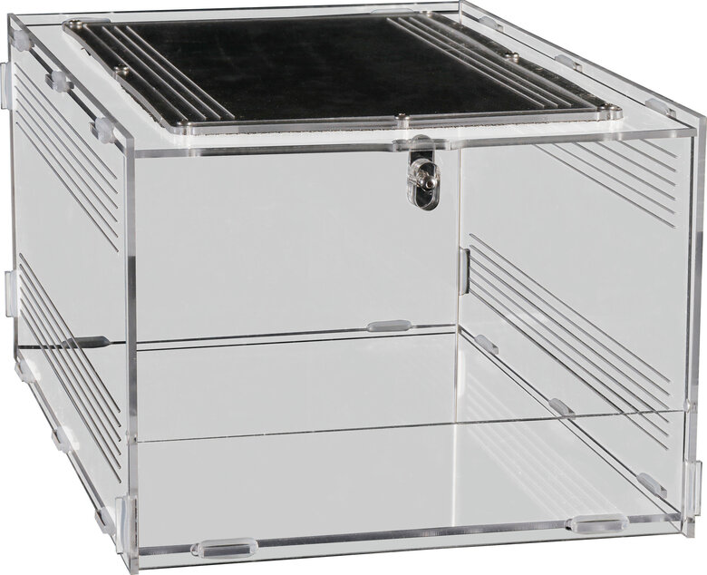 Repto - Terrarium AcryliqueTerra Clear - 30x20x15,5cm Image numéro 3 Repto - Terrarium AcryliqueTerra Clear - 30x20x15,5cm Image numéro 3