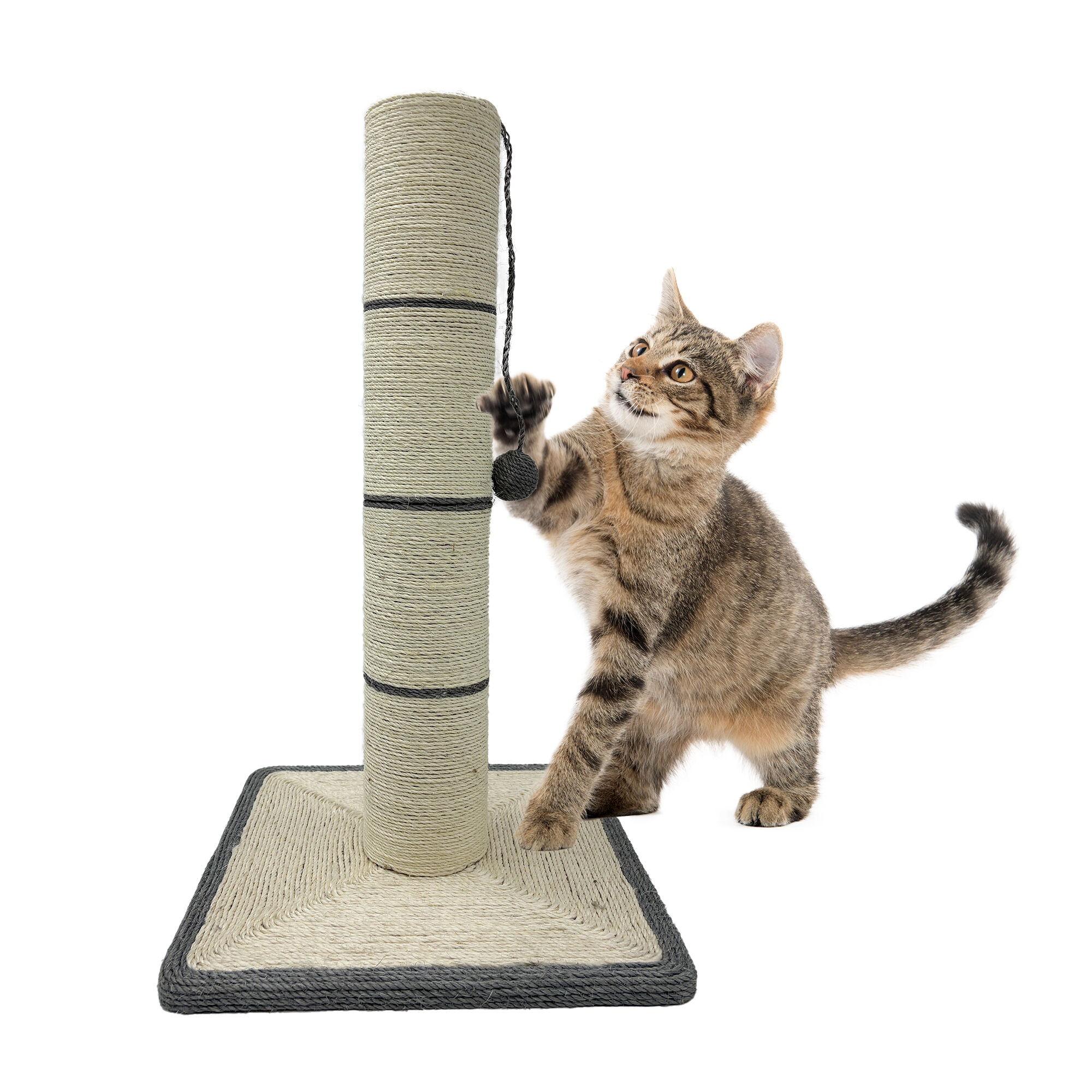 Leeby - Poteau &agrave; Griffoir Cloud pour Chats - Gris Image num&eacute;ro 1