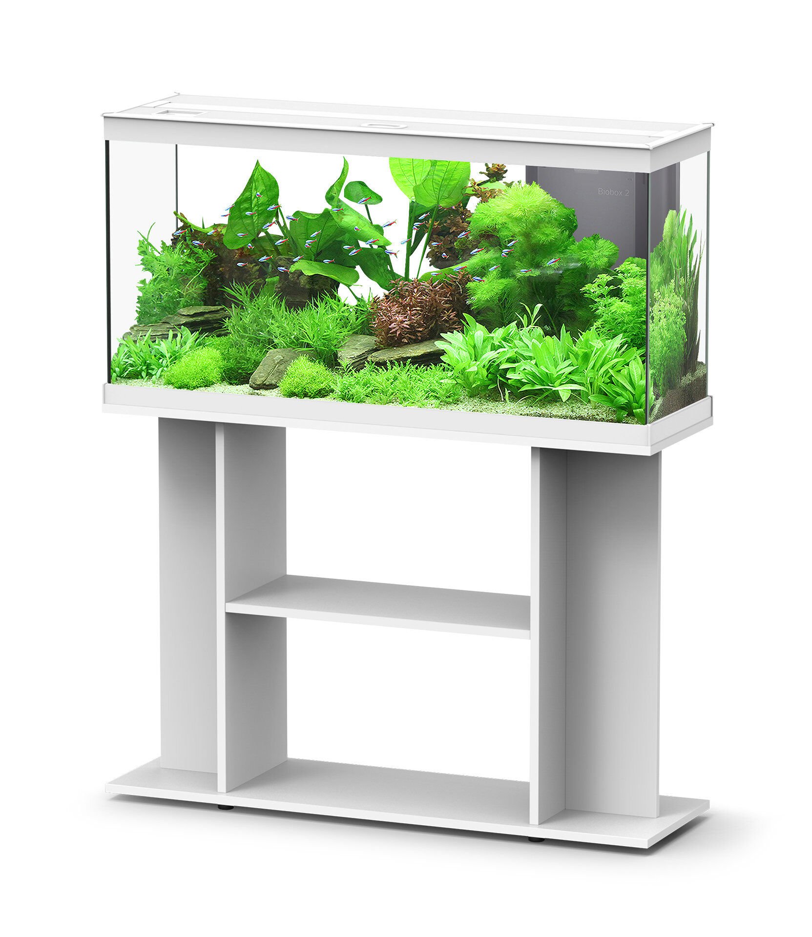 Aquadisio - Aquarium Alto 100cm - Blanc Image num&eacute;ro 1
