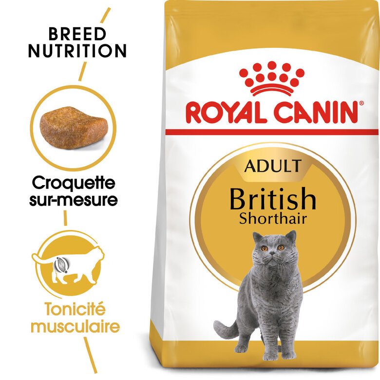 Royal Canin - Croquettes BRITISH SHORTHAIR ADULT pour Chats - 400g Image numéro 1 Royal Canin - Croquettes BRITISH SHORTHAIR ADULT pour Chats - 400g Image numéro 1