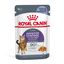 Royal Canin - Sachets Appetite Control Care en Gelée pour Chat - 12x85g Indicateur image numéro 1