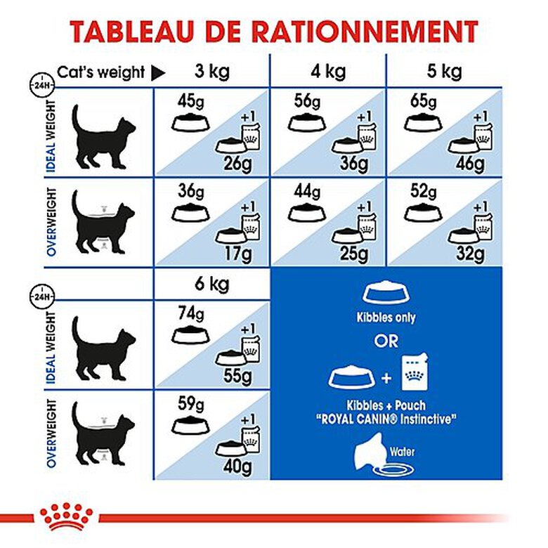 Royal Canin - Croquettes Indoor 27 Chat d'Intérieur pour Chat Adulte - 2Kg image number null