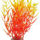 Labeo - Herbe marine colorée - Plante Artificielle Aquarium image number null