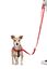 Gotoo - Harnais Essentials en Nylon Premium Rouge pour Chien - XS Indicateur image numéro 6
