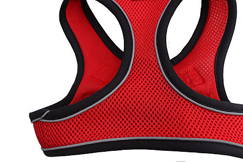 Gotoo - Harnais en Mesh Rouge pour Chien - XS Image num&eacute;ro 5