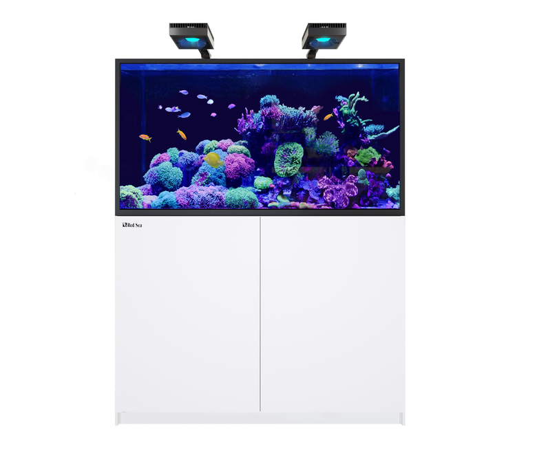 Red Sea - REEFER - S550 G2+ DLX BLANC Image numéro 1 Red Sea - REEFER - S550 G2+ DLX BLANC Image numéro 1