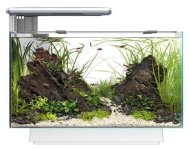 Superfish - Aquarium Quadro 40 Multi Colour - Blanc