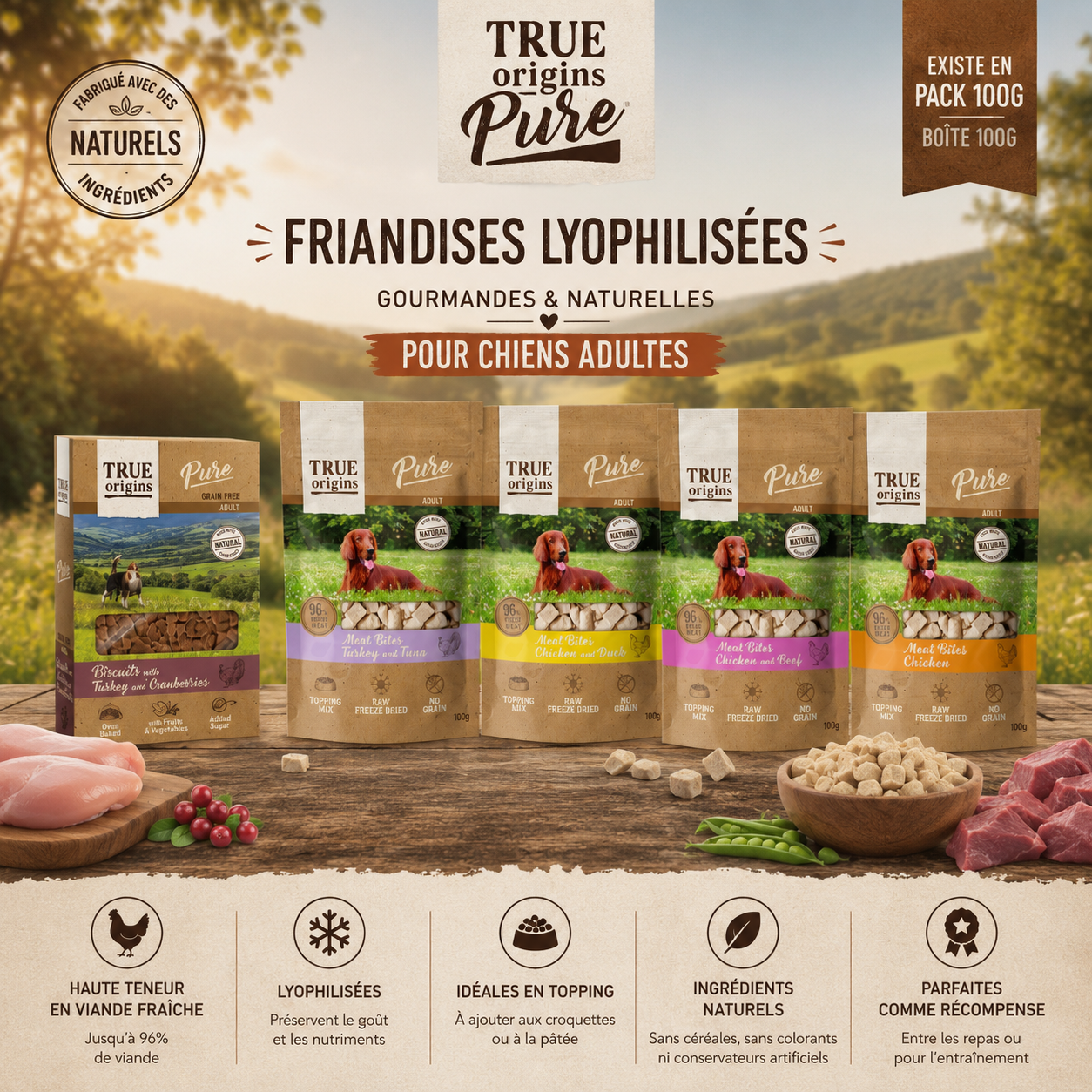 True Origins Pure - Friandises au Poulet et au B&oelig;uf pour Chien Adulte - 100g Image num&eacute;ro 2