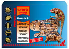 Sera - Set Dépistage d'Endoparasites Med Professional Diagnosis Kit pour Reptiles