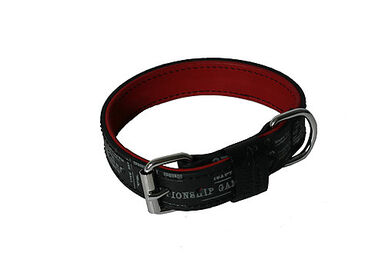 Martin Sellier - Collier en Cuir Boston avec Sangle de 30mm pour Chien - 50cm