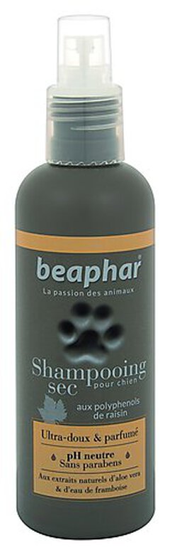 Beaphar - Spray Shampoing Sec Ultra-doux et Parfumé pour Chien - 200ml image number null