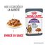 Royal Canin - Sachets Appetite Control Care en Sauce pour Chat - 12x85g Indicateur image numéro 2