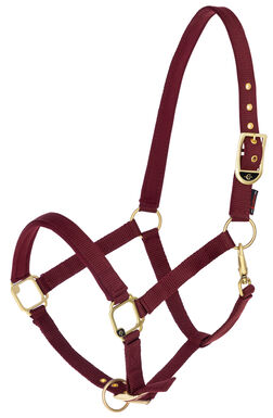Covalliero - Licol Réglable Classy Merlot