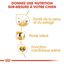 Royal Canin - Croquettes Cocker pour Chien Adulte - 3Kg Indicateur image numéro 5