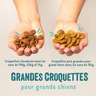 Edgard & Cooper - Croquettes Naturelles Adulte sans Céréales au Chevreuil et Canard frais pour Chien - 12Kg image number null