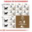 Royal Canin - Croquettes Senior Sterilised 12+ pour Chat Senior - 2 Kg Indicateur image numéro 6