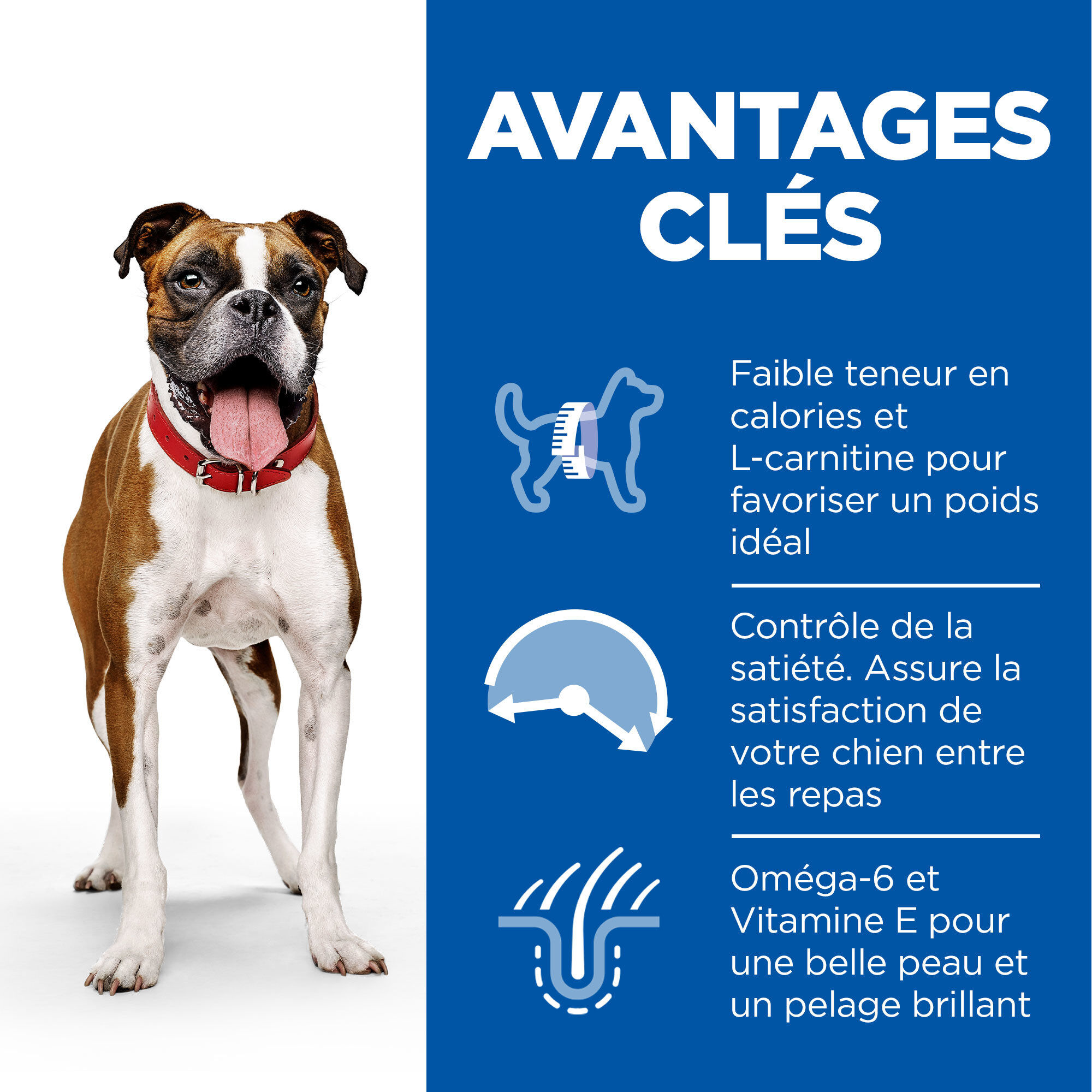 Hill's Science Plan - Adult Light Boite Pour Chien Poulet  - 370g Image num&eacute;ro 5