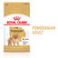 Royal Canin - Croquettes Adult Spitz Nain pour Chien - 3Kg Indicateur image num&eacute;ro 1