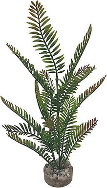 Labeo - Plante Décorative Fougère Haute pour Aquarium