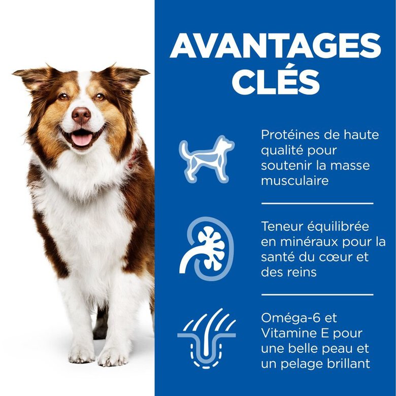 Hill's Science Plan - Mature Adult Boîte pour Chien Âgé Poulet - 370 GR Image numéro 3 Hill's Science Plan - Mature Adult Boîte pour Chien Âgé Poulet - 370 GR Image numéro 3