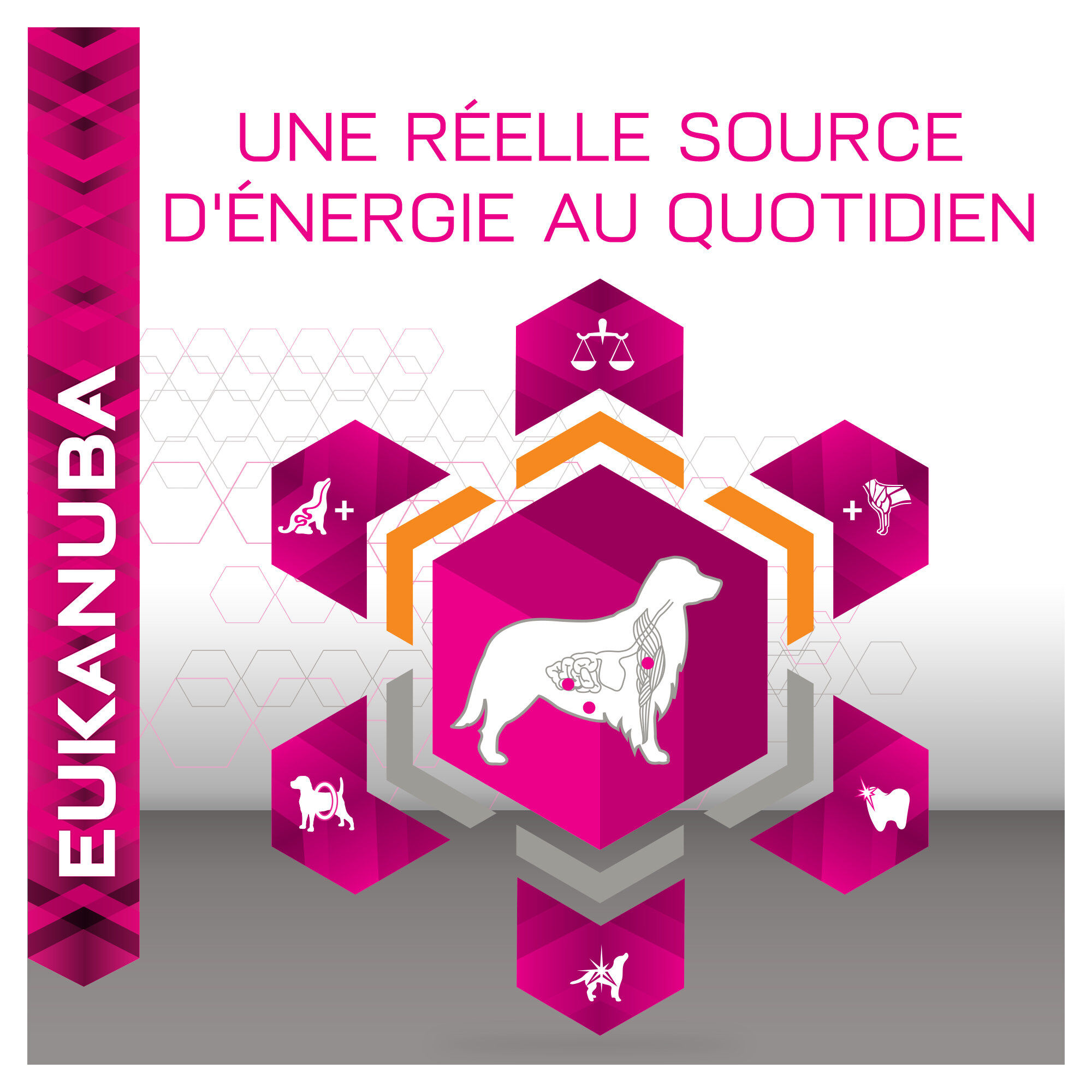 Eukanuba - Croquettes Breed Specific Golden Retriever Poulet - 12Kg Image num&eacute;ro 10