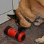 Pipolino - Jouet Distributeur de Croquettes PIPOLINO L+ pour Chiens - Rouge Indicateur image numéro 2