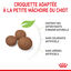 Royal Canin - Croquettes Medium Puppy pour Chiot - 15Kg Indicateur image numéro 5