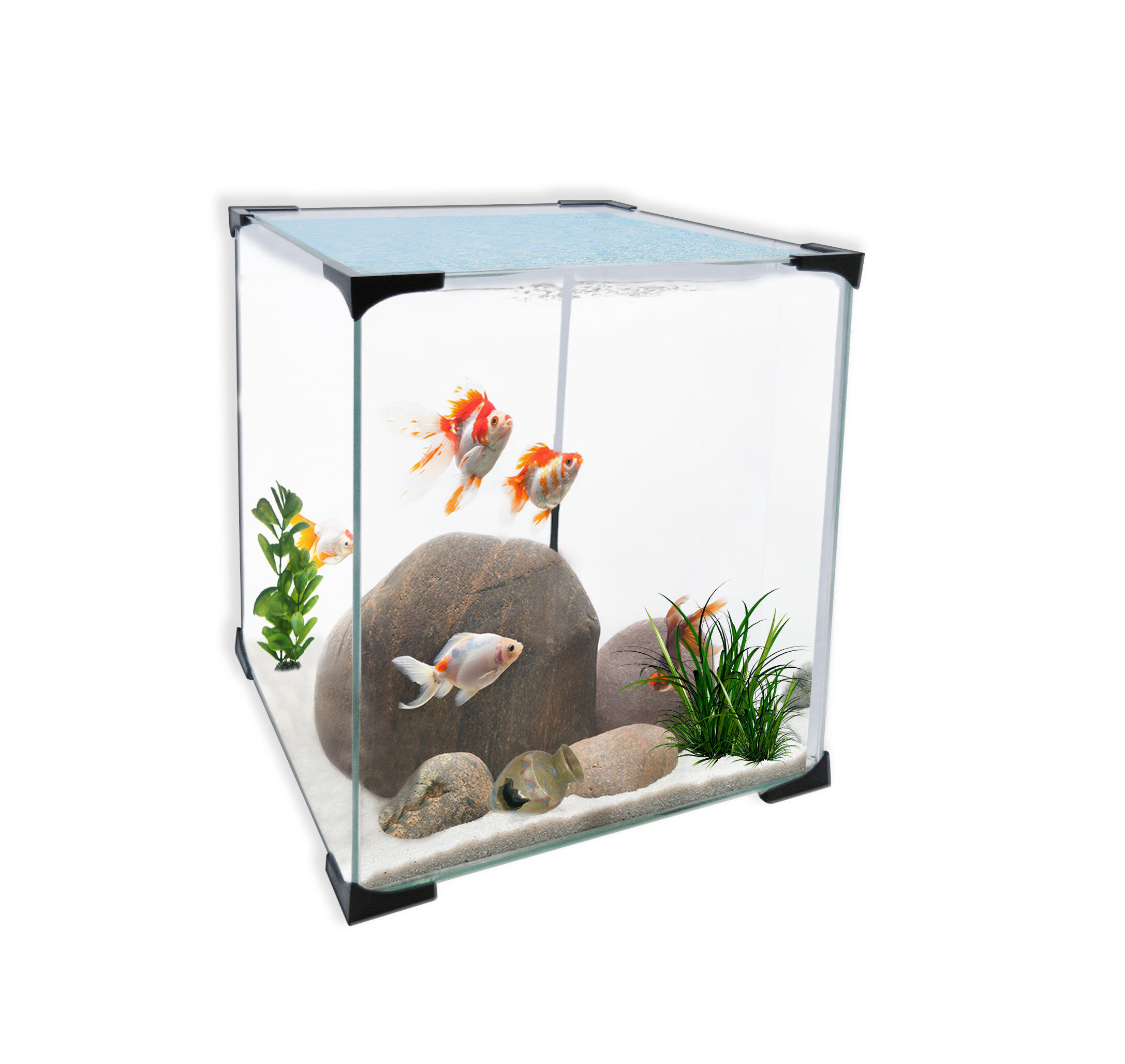 Antinea - Nano Aquarium Cuve Nue Cube + Couvercle - 31,5L Image num&eacute;ro 1