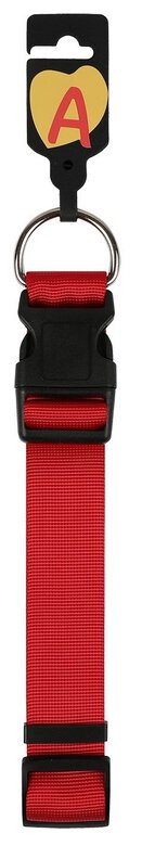 Animalis - Collier Basic Rouge pour Chien - 12mm et 23/30cm Image numéro 2 Animalis - Collier Basic Rouge pour Chien - 12mm et 23/30cm Image numéro 2