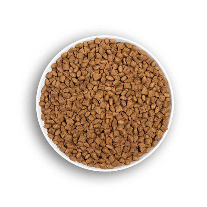 Era - Croquettes Sans C&eacute;r&eacute;ales Poulet et Dinde pour Chats St&eacute;rilis&eacute;s - 1,25kg Image num&eacute;ro 3