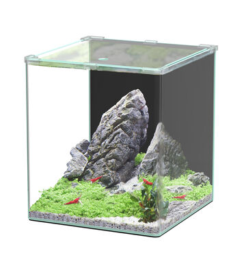 Aquatlantis - Aquarium Kubus Curve 44L - Basic