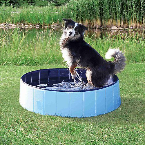 Trixie - Piscine Bleu pour Chien - 120 &times; 30 cm Image num&eacute;ro 2