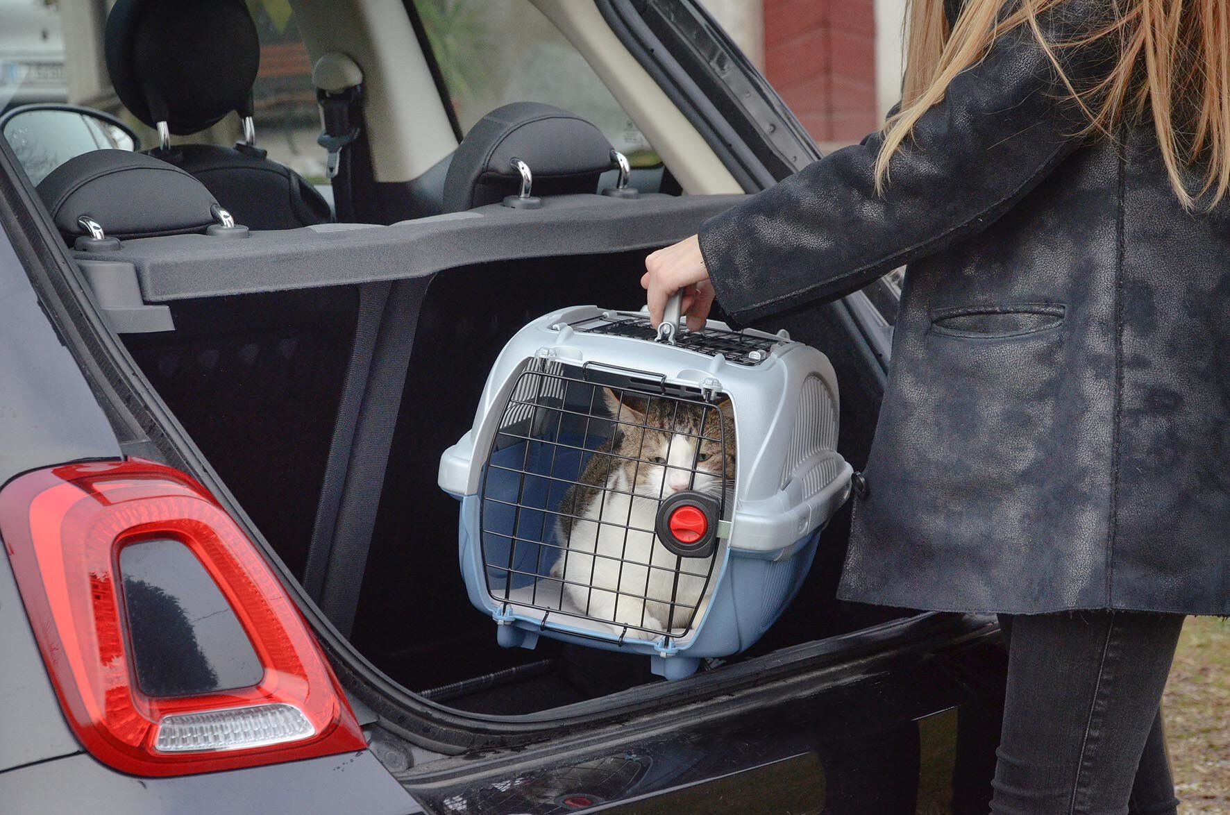 Ferplast - Panier Transport Atlas Deluxe 10 Open Image num&eacute;ro 9