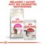 Royal Canin - Croquettes Savour Exigent pour Chat - 2Kg Indicateur image num&eacute;ro 6