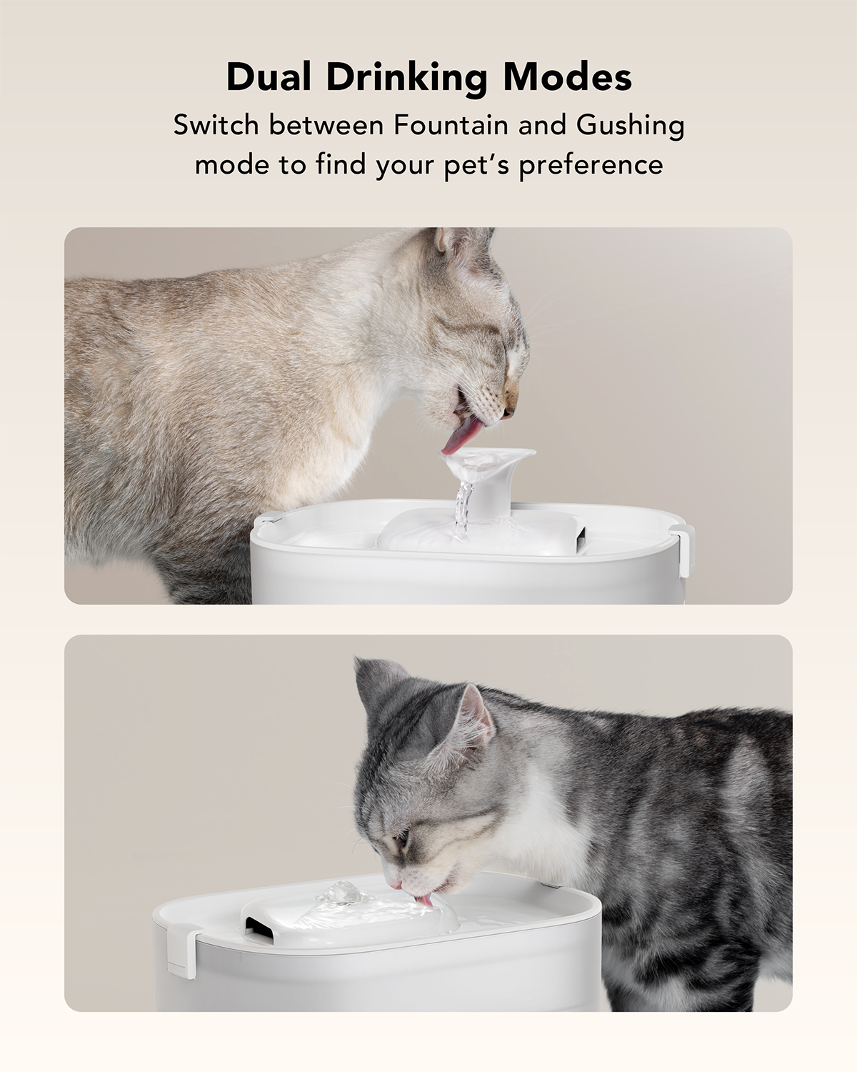 Petlibro - Fontaine &agrave; Eau avec Pompe sans Fil - 2,5L Image num&eacute;ro 6