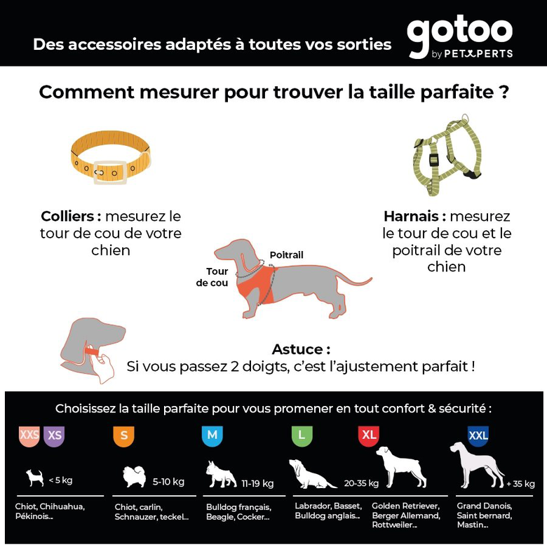 Gotoo - Collier Marron pour Chien - XS Image numéro 6 Gotoo - Collier Marron pour Chien - XS Image numéro 6