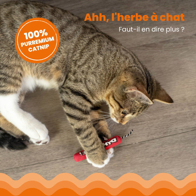 Outward Hound - Jouet Dynamite Green Magic pour Chats - Rouge Image num&eacute;ro 4