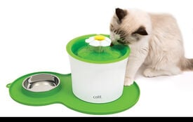 Catit - Tapis de Silicone Rond Vert pour Chats - 46x29cm