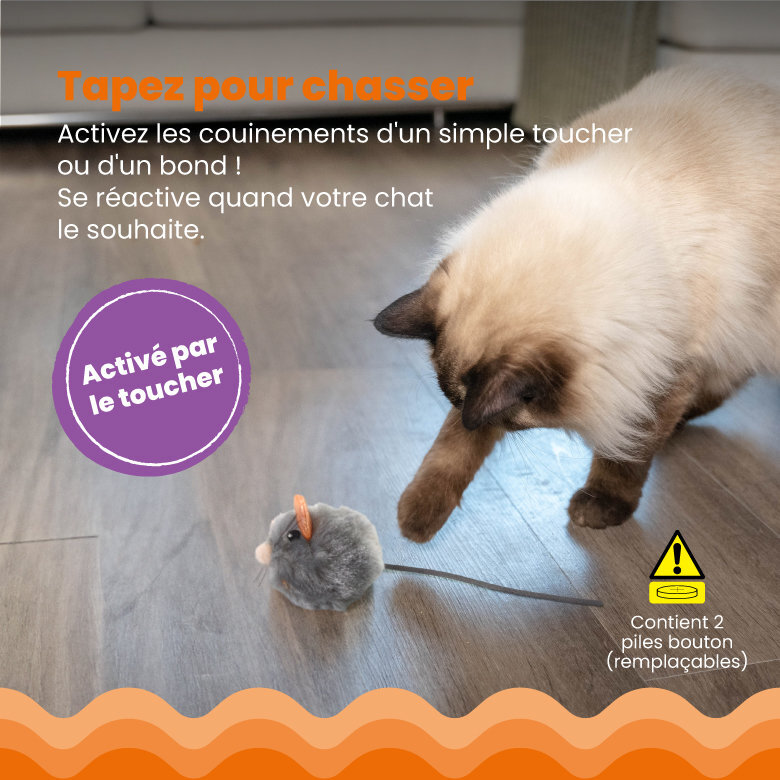 Outward Hound - Jouet Souris Squeak Mouse pour Chats - Gris Image numéro 4 Outward Hound - Jouet Souris Squeak Mouse pour Chats - Gris Image numéro 4